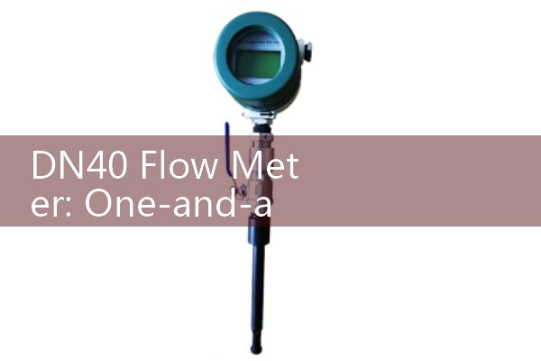 DN40 Flow Meter: One-and-a-Half Inch Nominal Diameter Industrial Sensors